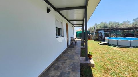 Foto 3 de Finca rústica en venda a Los Palacios y Villafranca, Sevilla