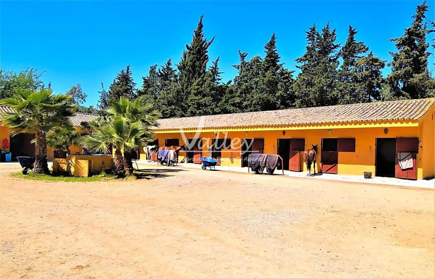 Terreni e lotti in vendita a Jimena de la Frontera, imagen 61