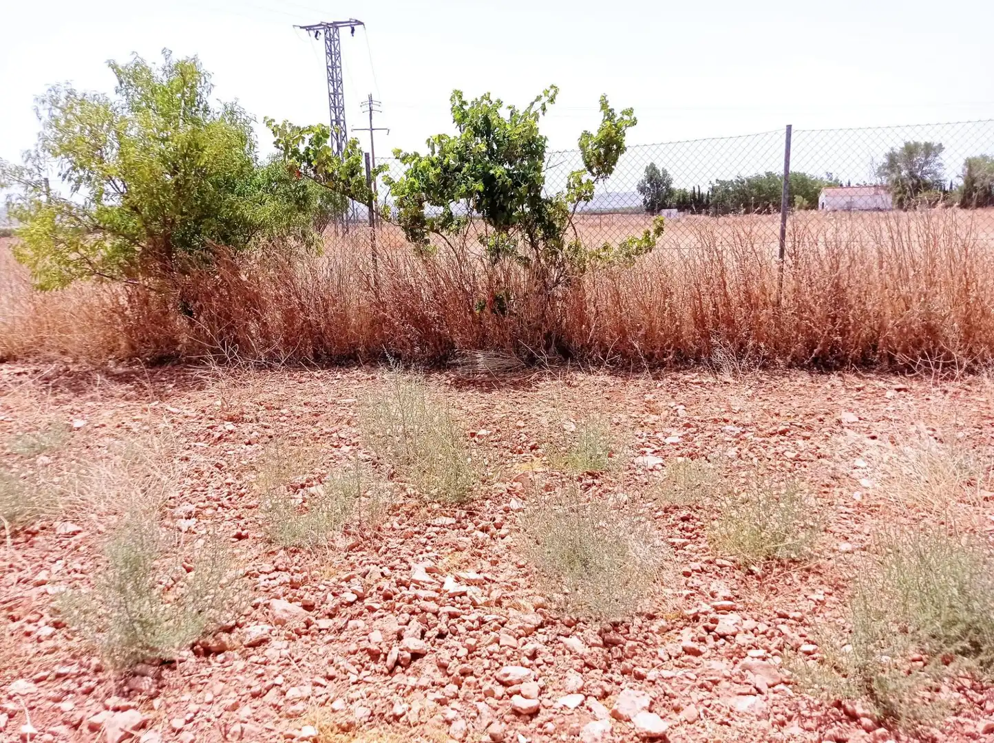 Terreno rustico in vendita a Pozuelo de Calatrava, imagen 6