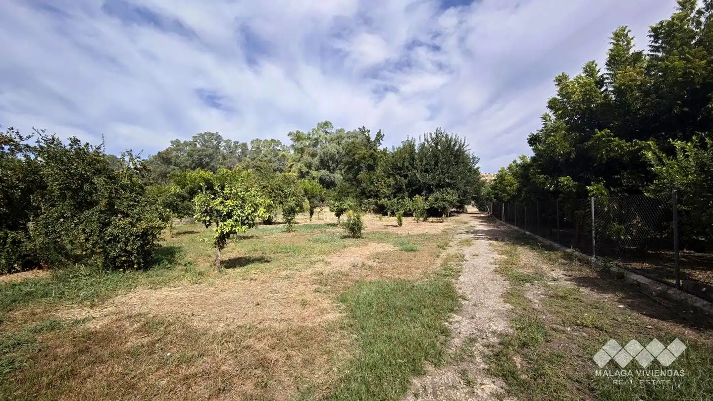 Terreno rústico en venta en Diseminado Atalaya Baja, imagen 16