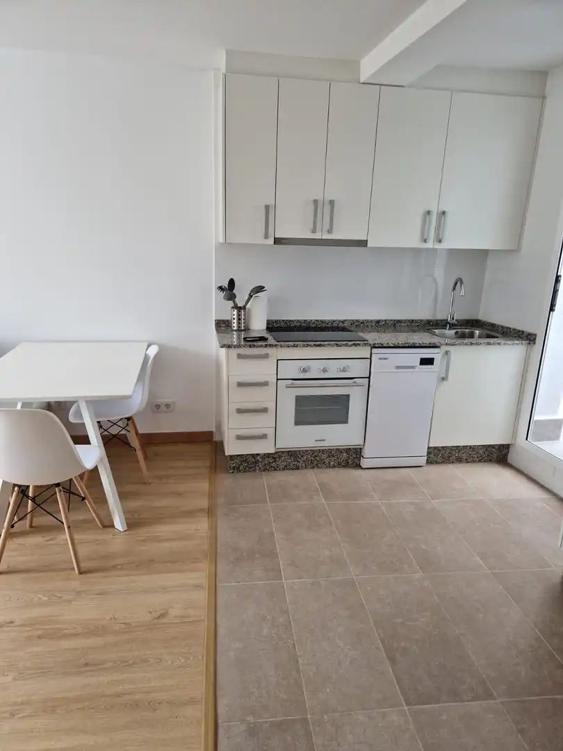 Kitchen of Apartments for rent in Lugo  with Terrace and Furnished