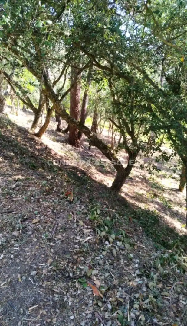 Wohnbaugrundstück zum Verkauf in Lloret Blau - La Creu de Lloret, imagen 4