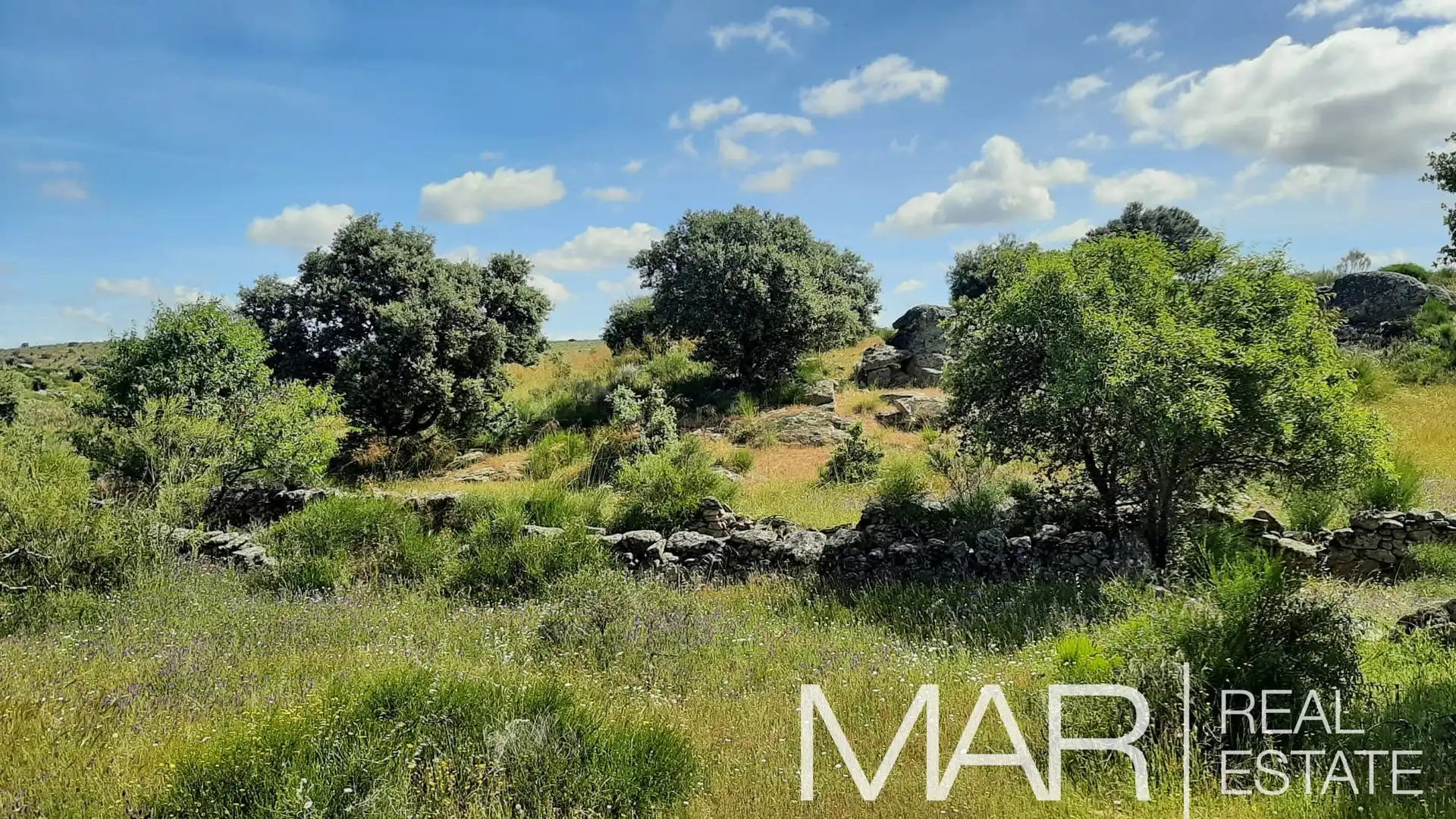 Terreni e lotti in vendita a Villar del Pedroso, imagen 17