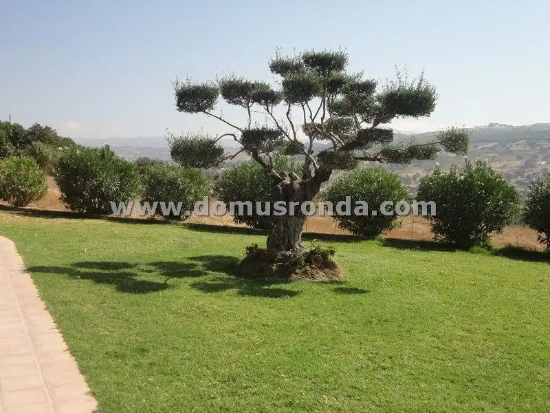 Villa con terrazza in vendita a Centro, imagen 66