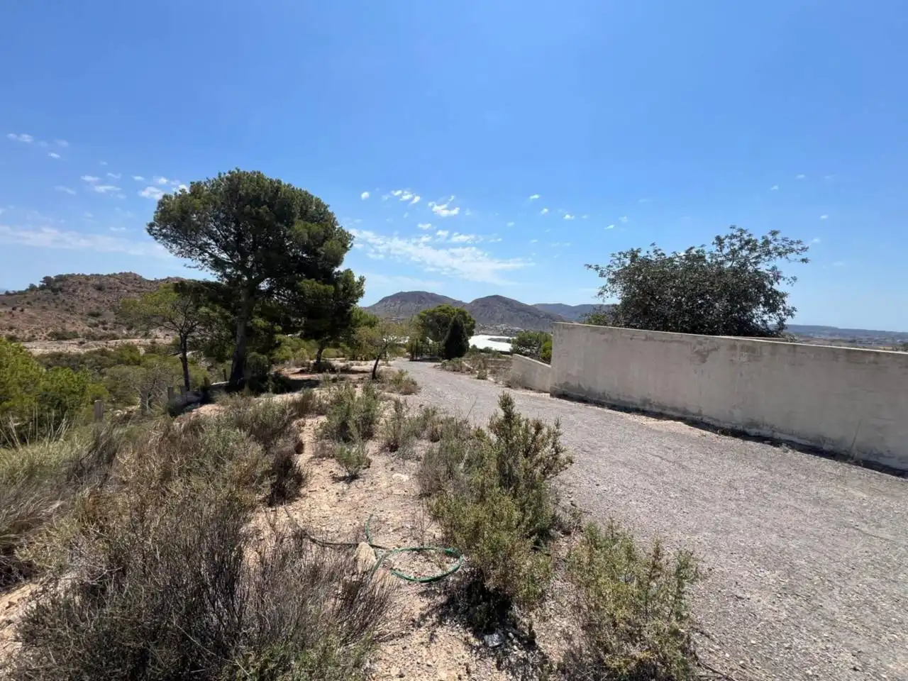 Finca rústica en venda en Alicante / Alacant