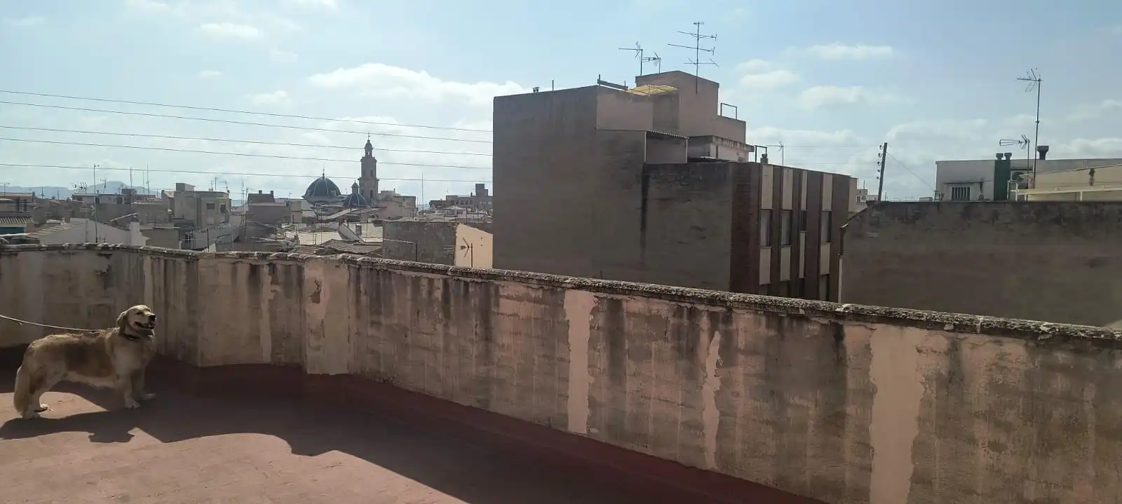 Résidentiel à vendre à Novelda, imagen 13