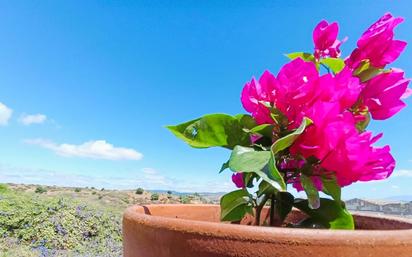 Jardí de Casa o xalet en venda en Algeciras amb Terrassa i Balcó