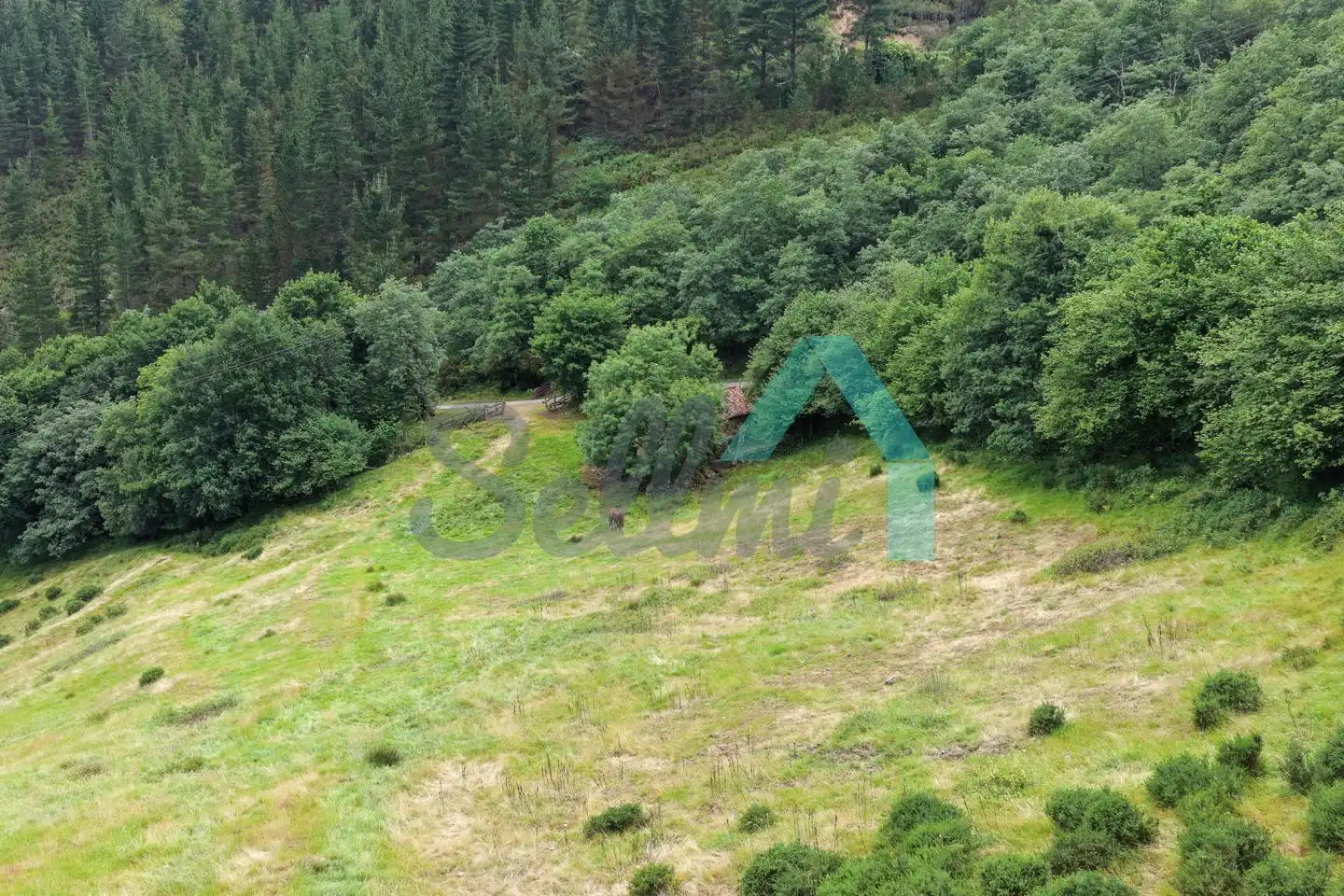 Land for sale in Proaza