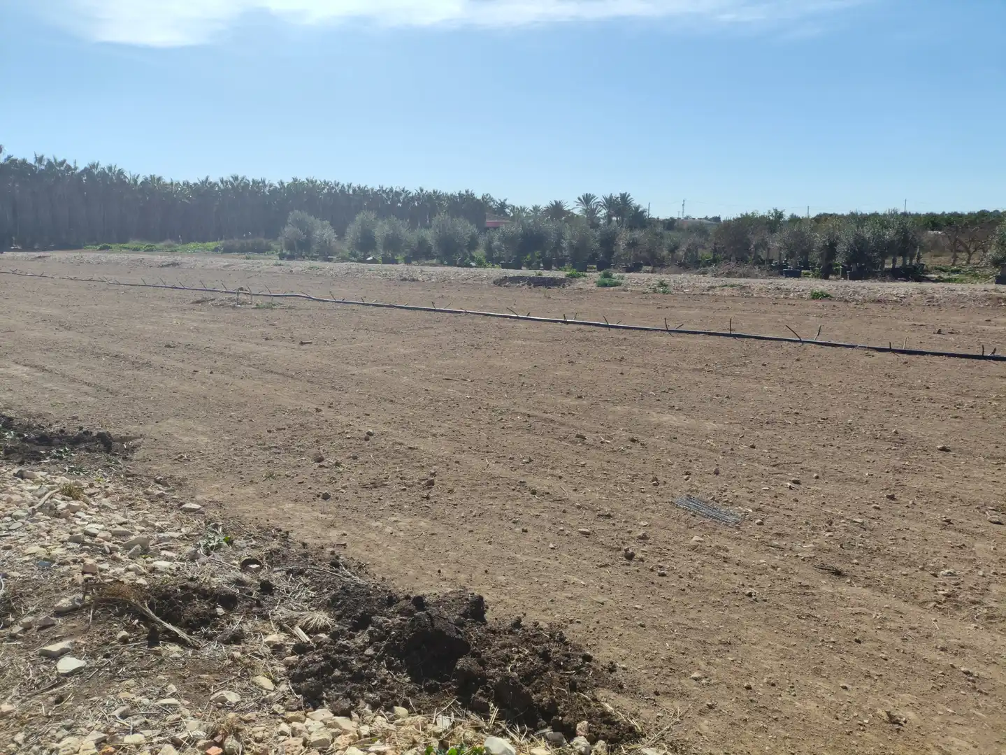 Rural land for sale in Las Bayas, imagen 3