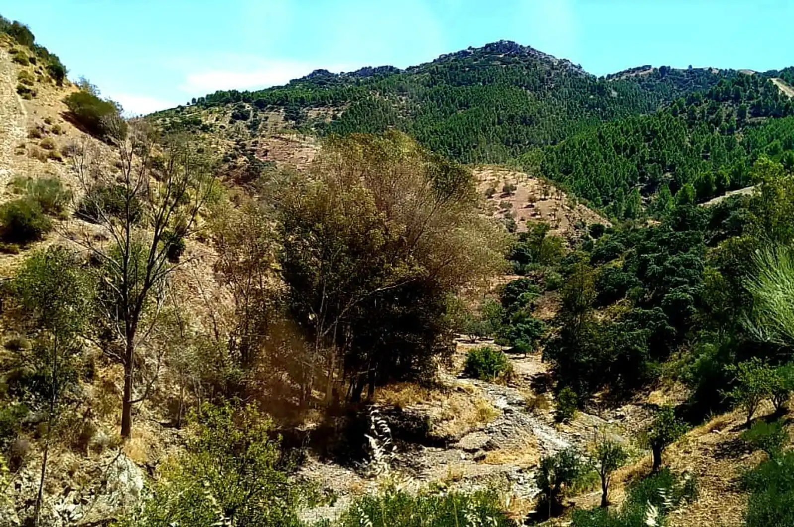 Terreni e lotti in vendita a huerto franco, imagen 53