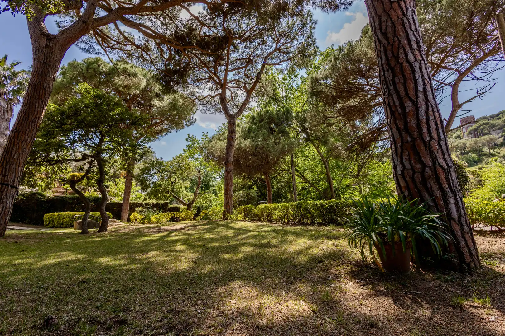 Jardín de Casa o chalet en venta en Cabrils con Calefacción, Jardín privado y Parquet