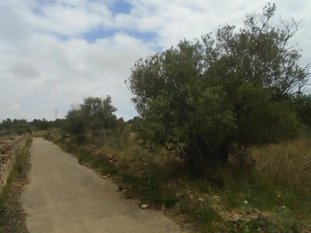 Rustikales Grundstück zum Verkauf in Paraje del Moro, imagen 13
