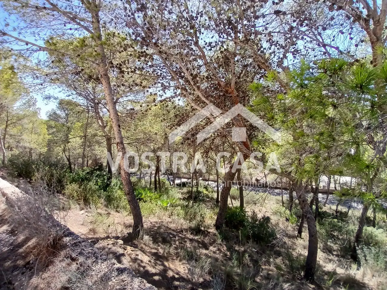 Terreno en venta en Godelleta