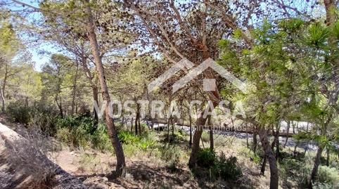 Photo 2 of Land for sale in Dieciseis, -1, Godelleta, Valencia