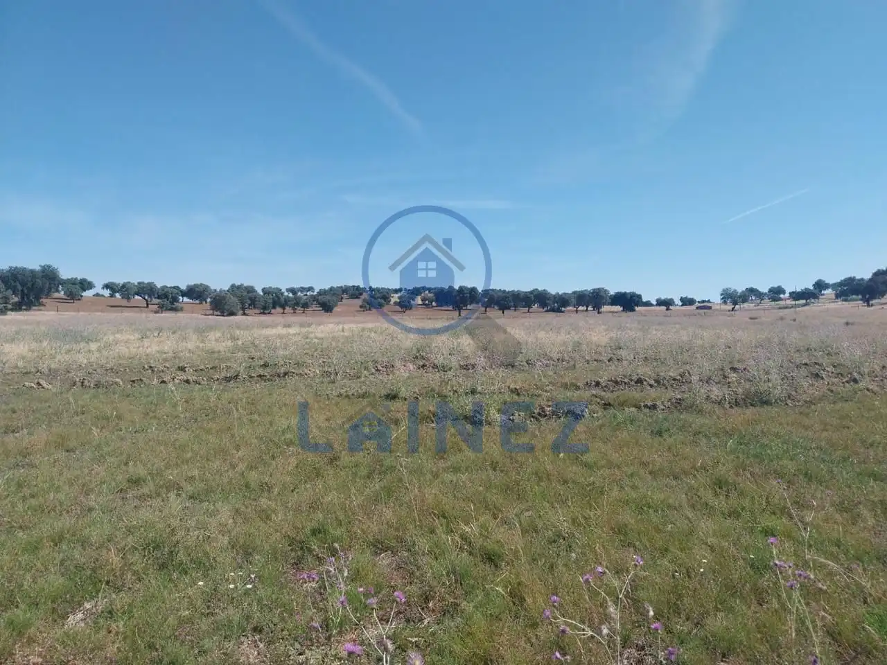 Rural land for sale in Fuente Obejuna, imagen 33