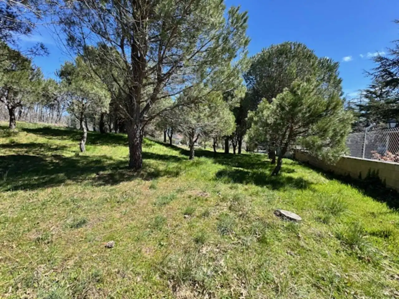 Terreny residencial en venda a Calle La Jara, imagen 5