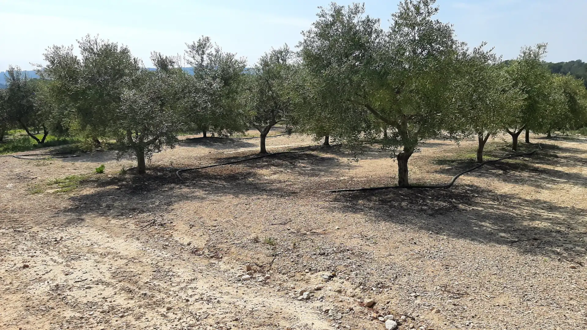 Rural land for sale in N/A, imagen 9