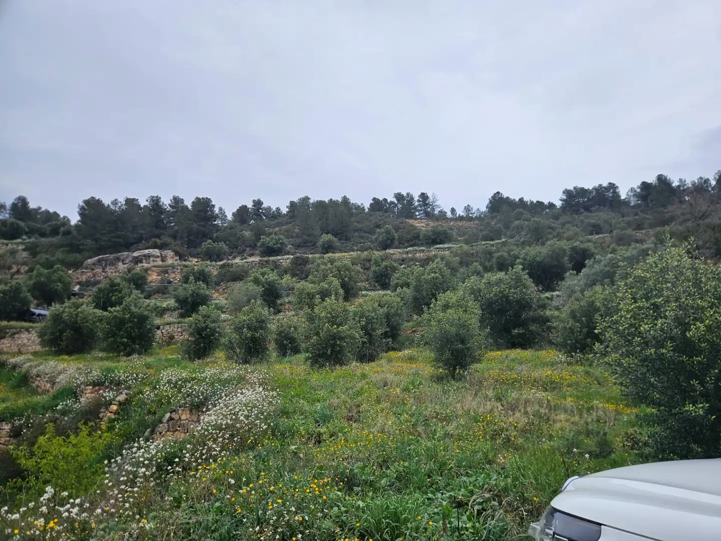 Rural land for sale in Cervià de Les Garrigues, imagen 7