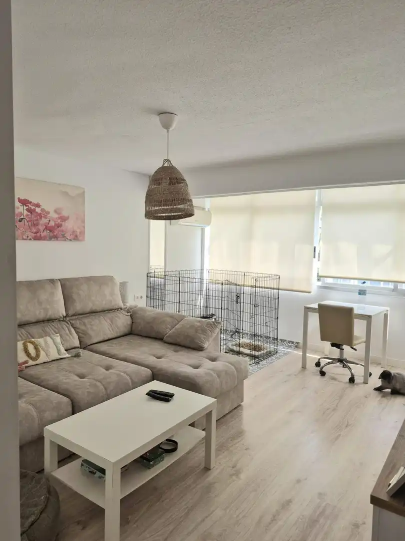 Sala d'estar de Pis en venda en Alicante / Alacant amb Aire condicionat, Calefacció i Piscina comunitària