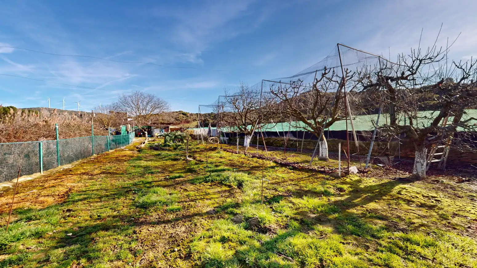 Rural land for sale in Tafalla - TERMINO JUNCAL, imagen 39