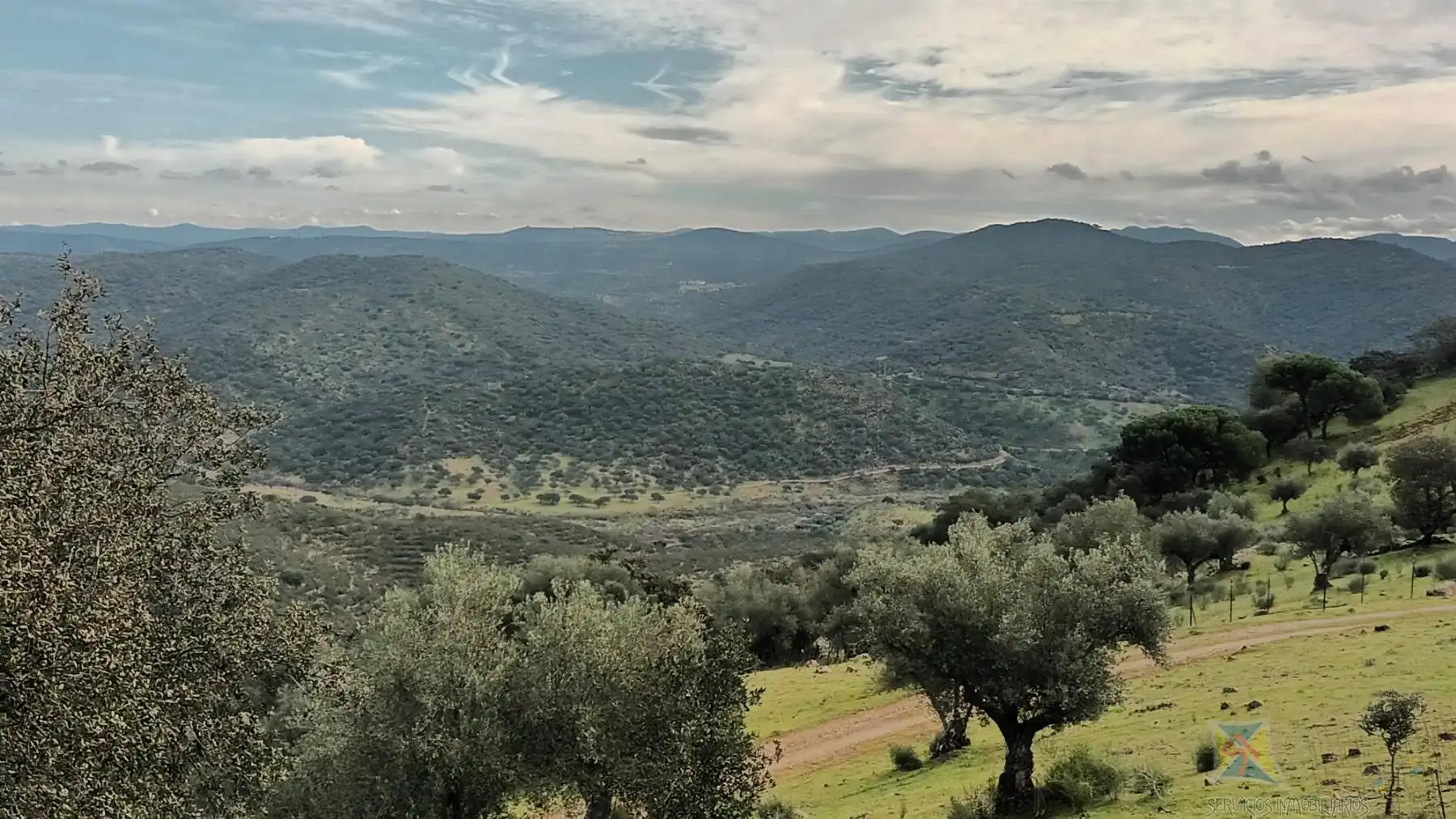 Vista exterior de Finca rústica en venta en Encinasola