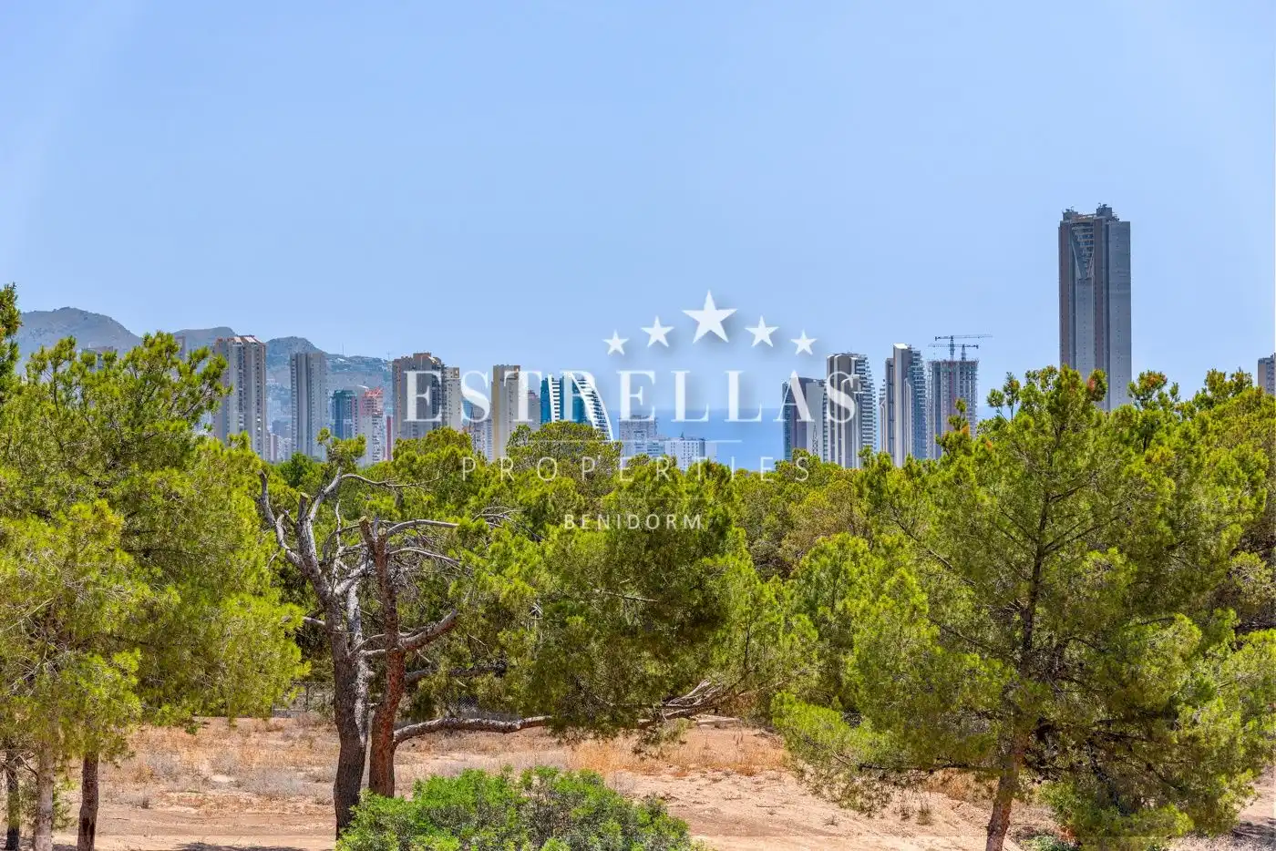 Chalet con piscina en venta en Golf Bahía, imagen 47