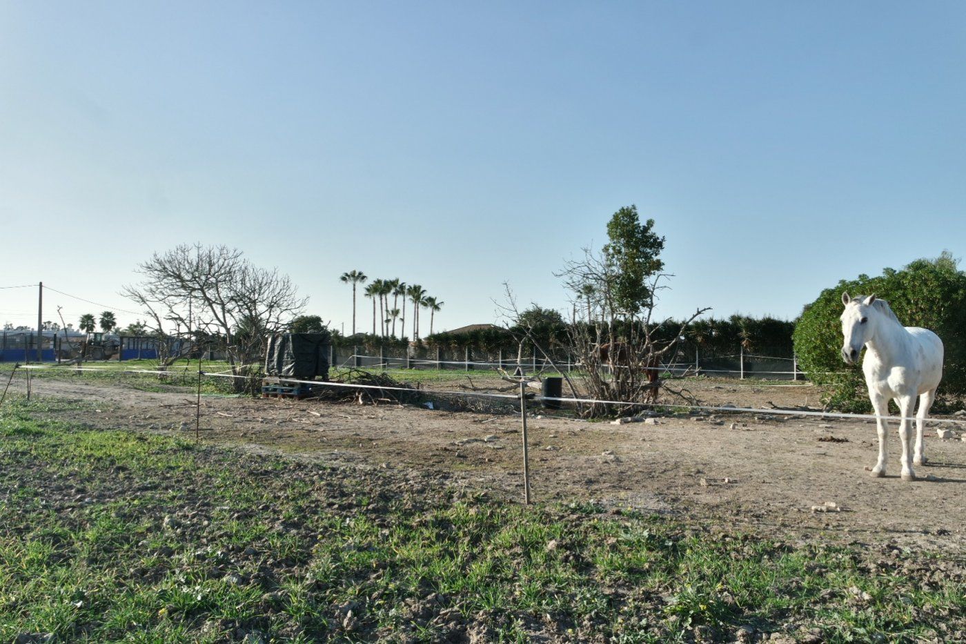 Finca rústica en venda en Sanlúcar de Barrameda