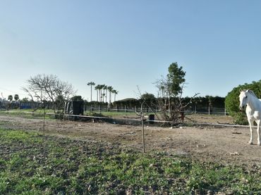 Casa rústica en venda a La Jara
