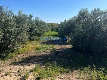 Terrain rustique à vendre à La Hacienda - Nueva Andalucía