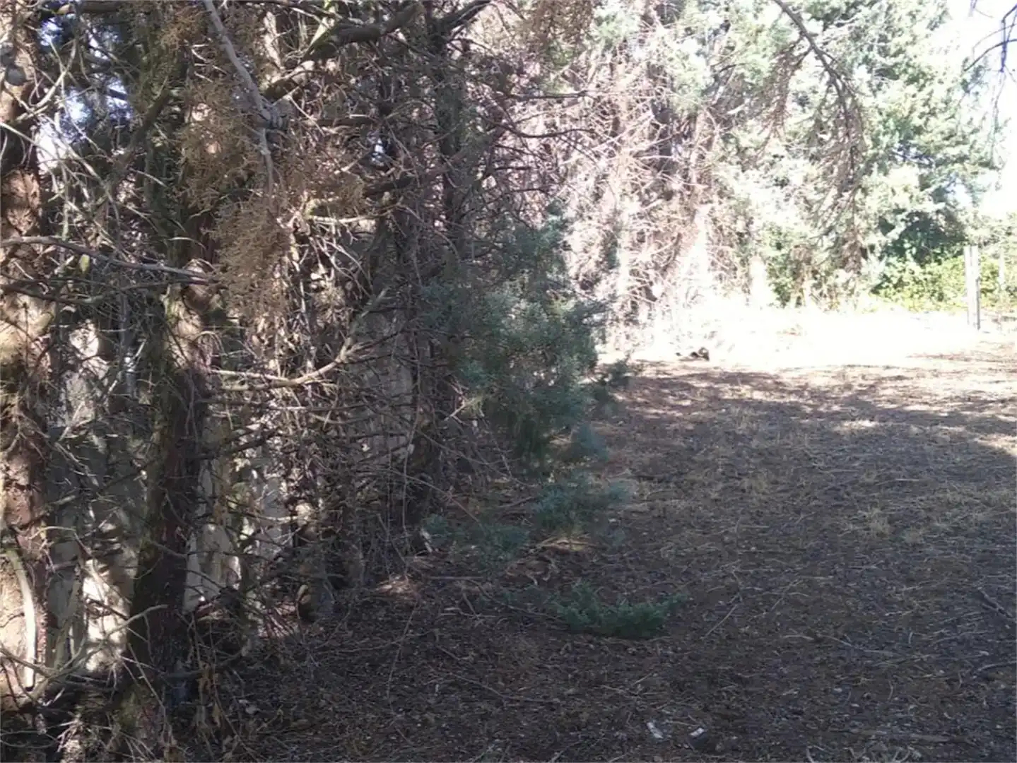 Terreno en venta en Los Huertos