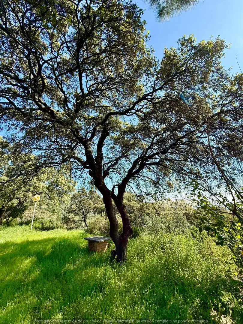 Vista exterior de Finca rústica en venda en Córdoba amb Jardí privat i Traster