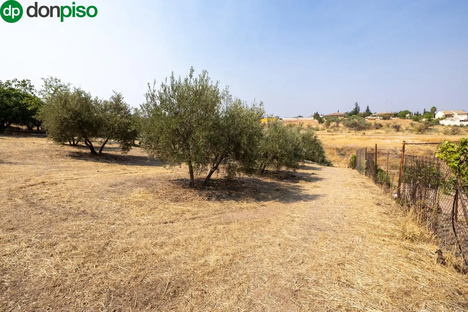 Finca rústica en venda a Calle de Moraleda a Cómpeta, Moraleda de Zafayona