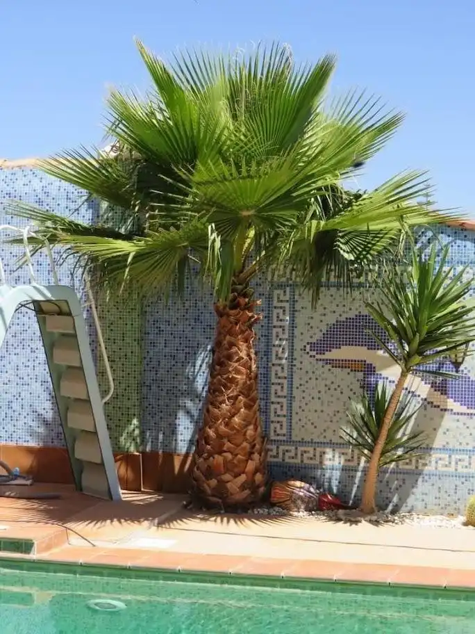 Villa avec piscine à vendre à Los Franceses – La Vega, imagen 48