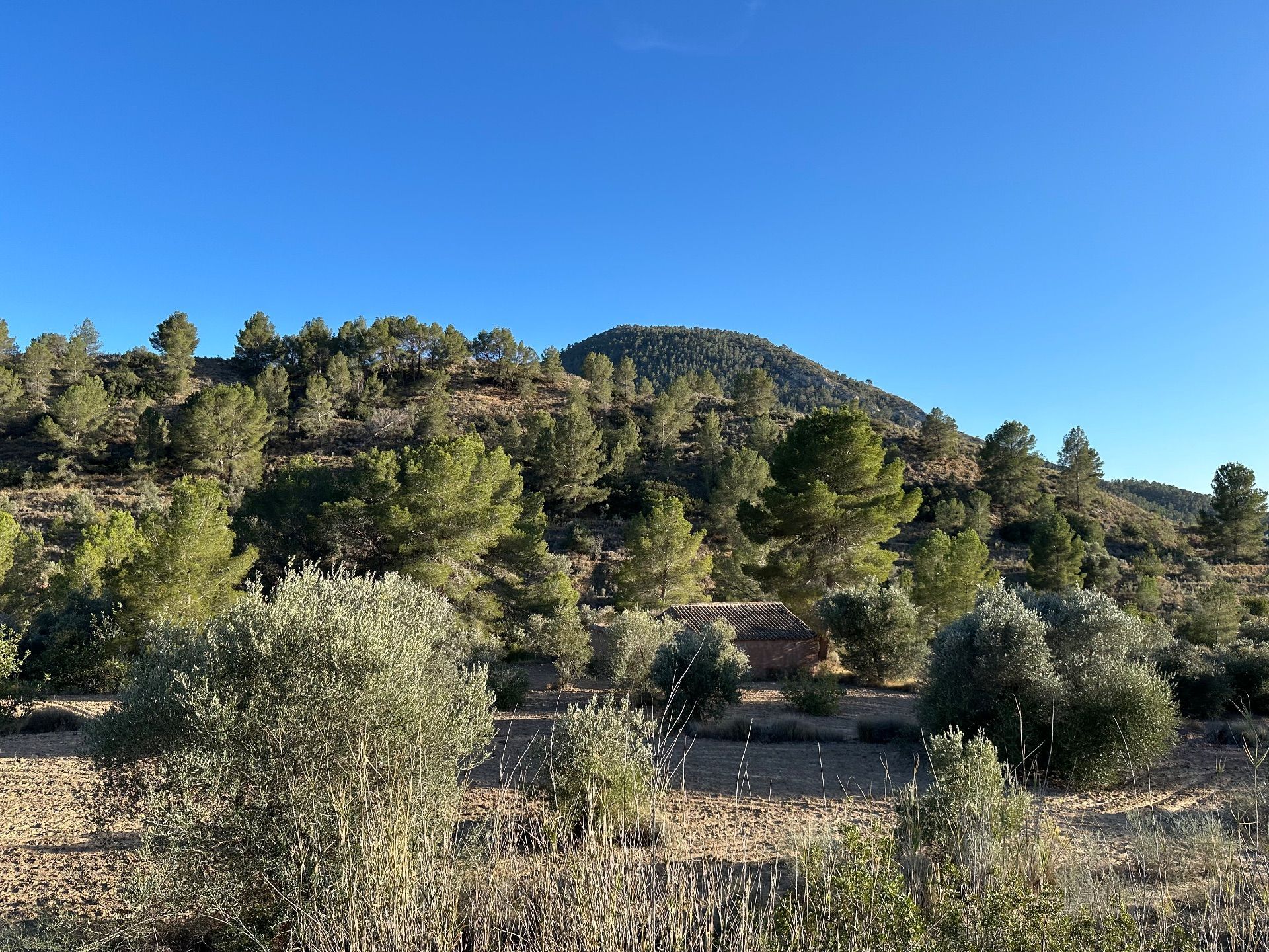 Land for sale in Finestrat
