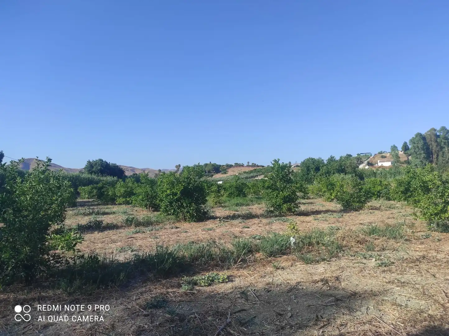 Terreno rustico in vendita a Villafranco del Guadalhorce, imagen 4