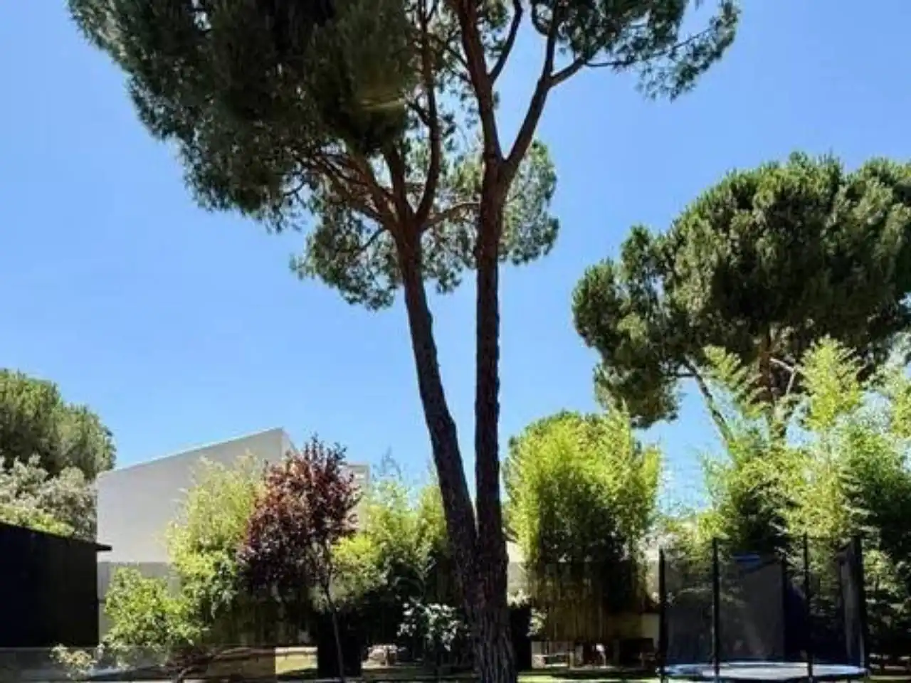Jardí de Casa o xalet de lloguer en Pozuelo de Alarcón amb Aire condicionat, Calefacció i Jardí privat