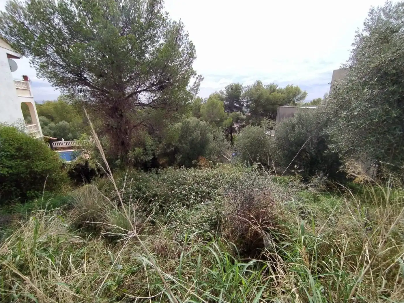 Terreno rustico in vendita a ANTILLES, imagen 5