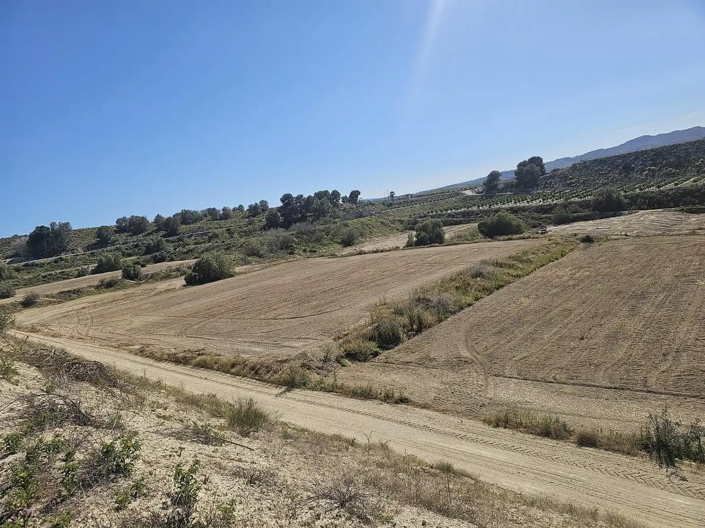 Terreno rústico en venta en Desamparados - Hurchillo - Torremendo, imagen 3