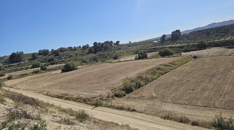 Gran terreno con almacén de 200m2 y vistas al embalse La Pedrera, imatge 3
