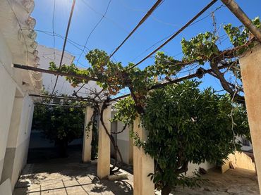 Maison avec jardin à vendre à Periana