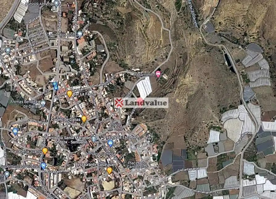 Terreno residenziale in vendita a Dalías, imagen 3