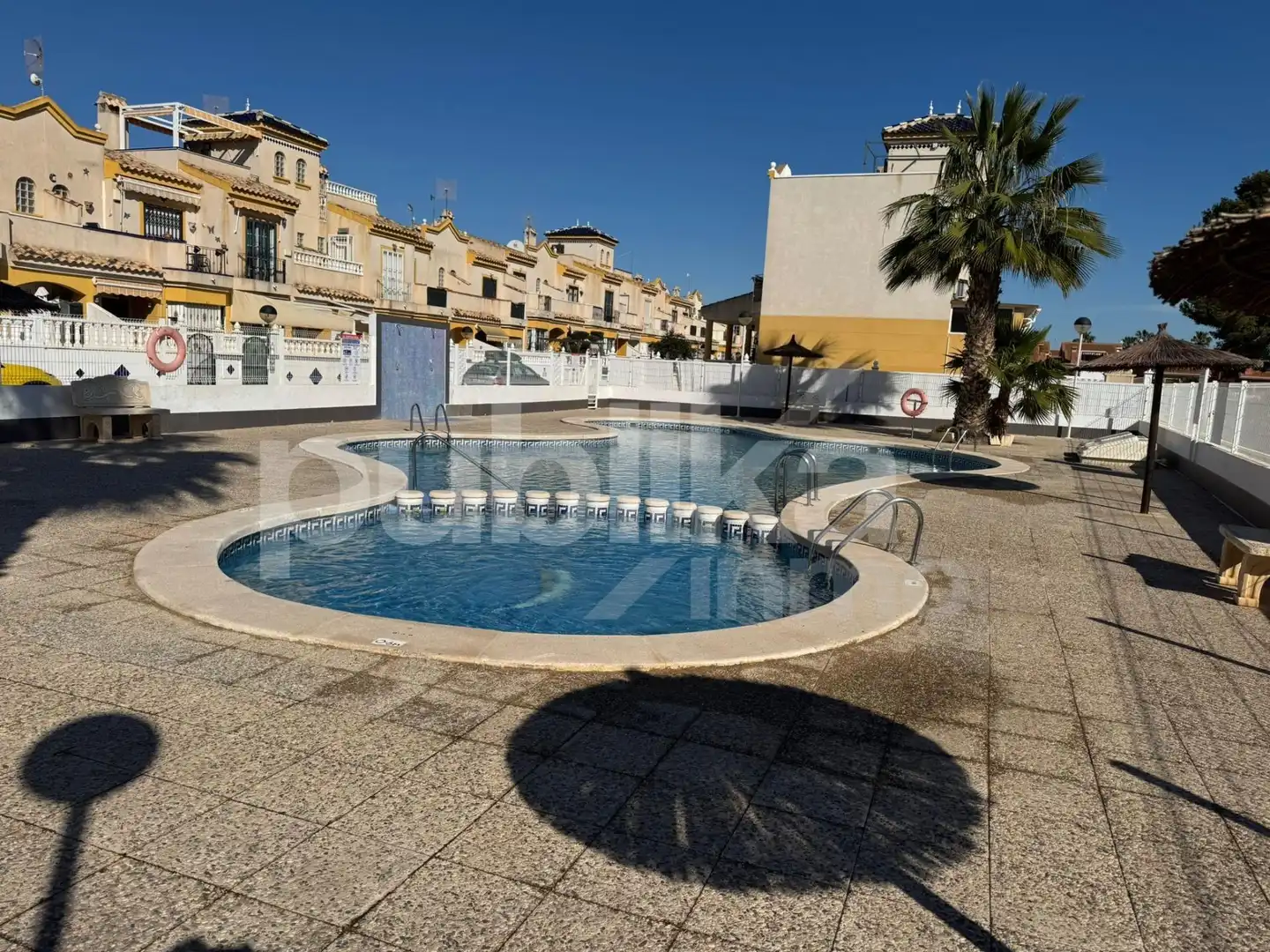 Swimming pool of Detached homes for sale in Guardamar del Segura  with Private garden, Terrace and Balcony