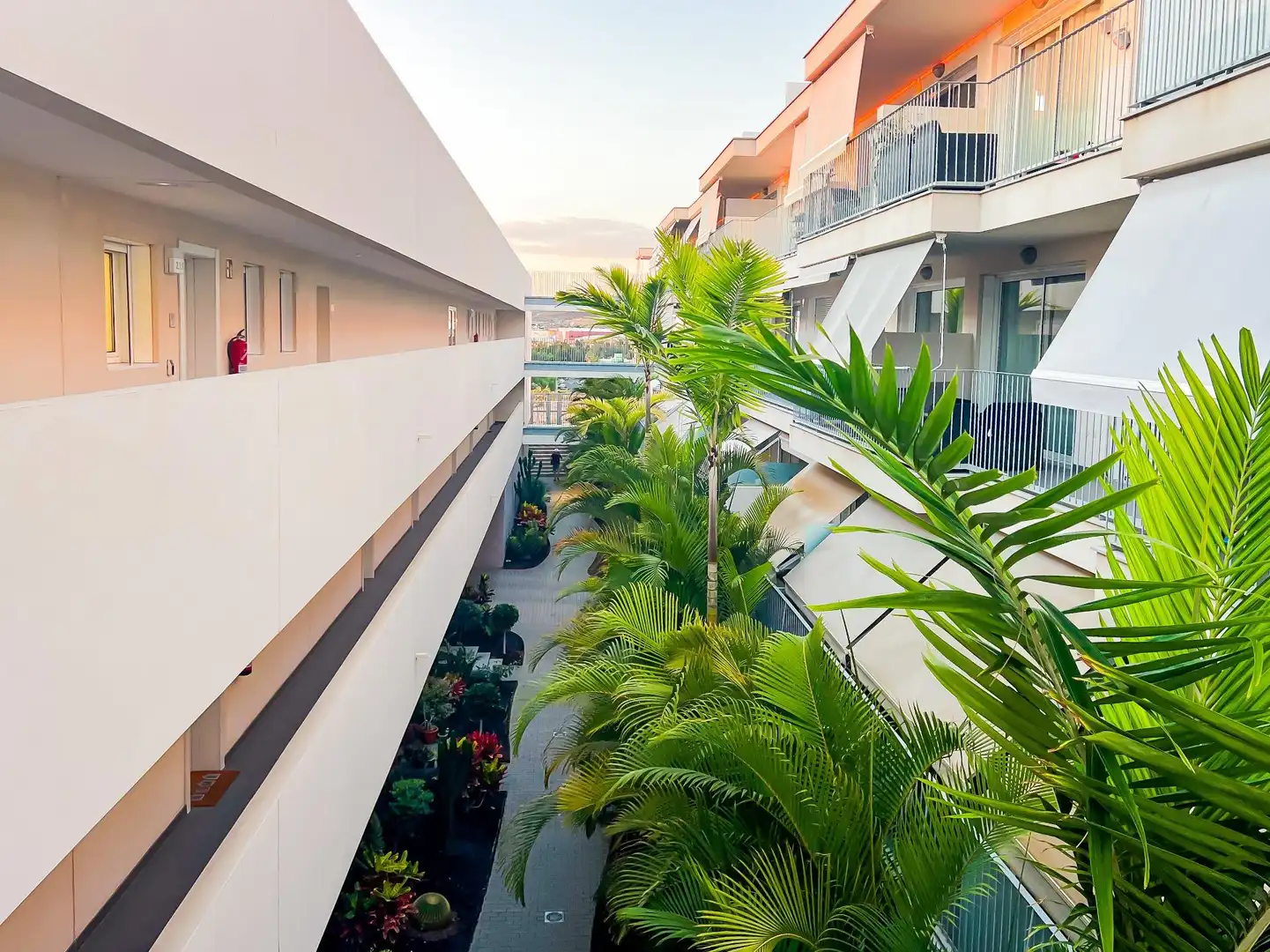Exterior view of Apartments for sale in Adeje  with Air Conditioner, Furnished and Jacuzzi