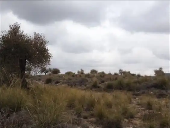 Terreno rustico in vendita a M-311 37, imagen 3