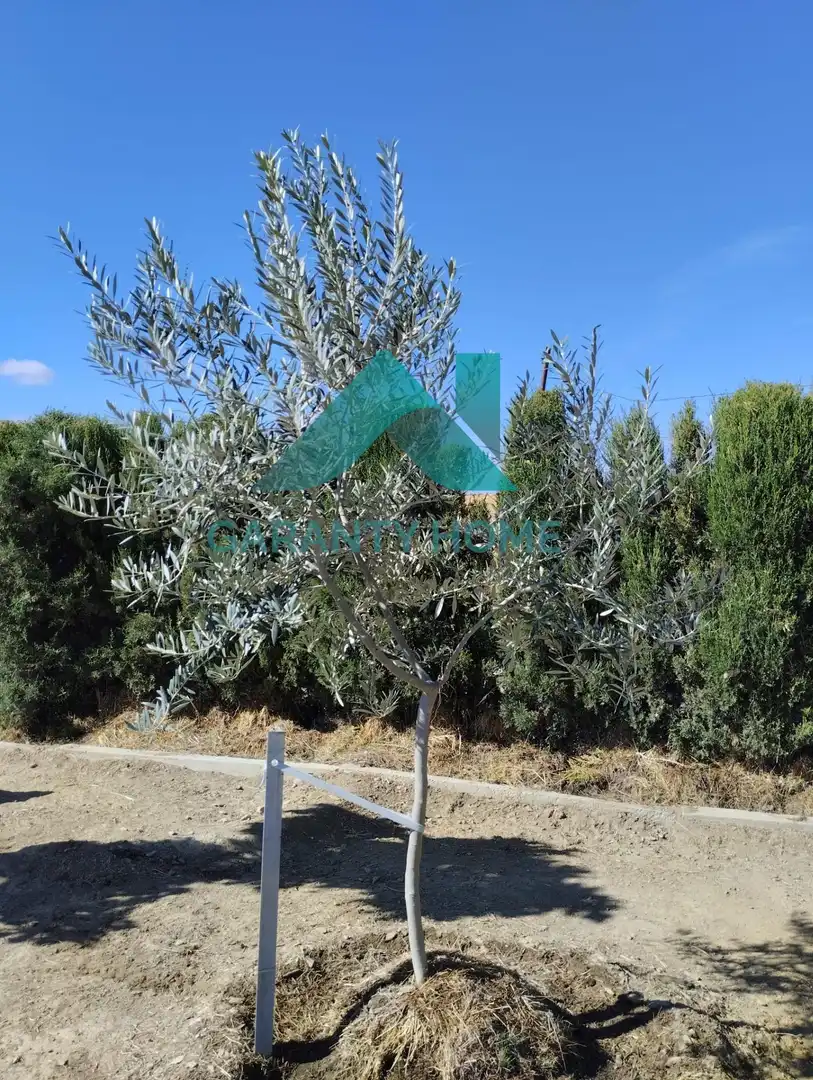Casa amb piscina en venda a Sierra de Fuentes, imagen 17