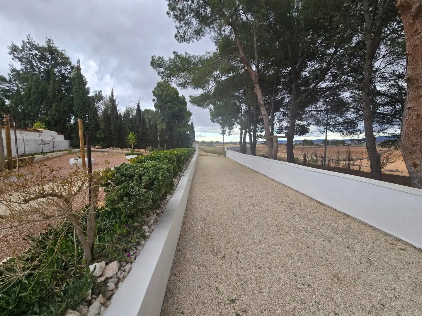 Vista exterior de Casa o xalet en venda en Yecla amb Jardí privat, Terrassa i Piscina