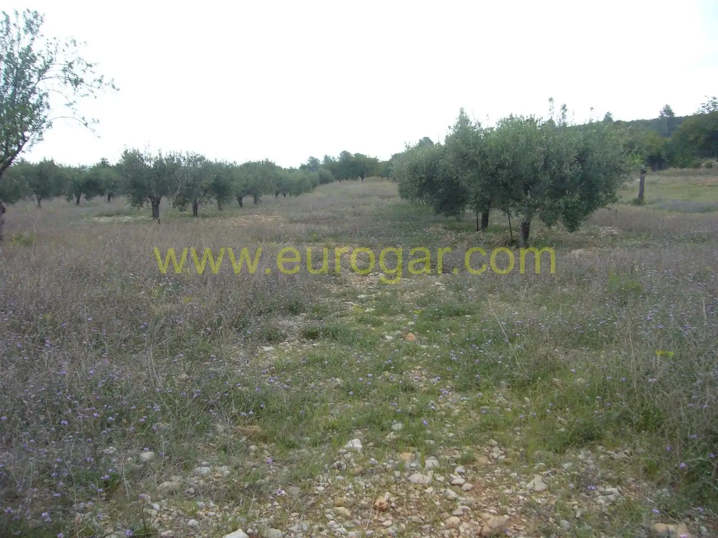 Villa in vendita a Centro, imagen 6