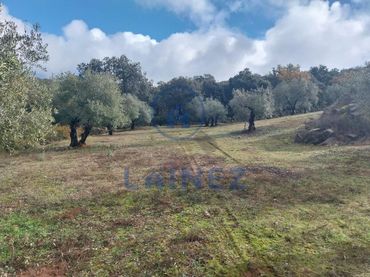 Terreno rústico en venta en Belmez