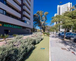 Exterior view of Study for sale in Málaga Capital  with Air Conditioner, Heating and Parquet flooring