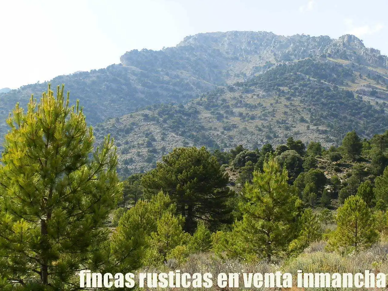 Terreno rustico in vendita a Caravaca de la Cruz, imagen 18